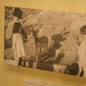 tel aviv zoo (closed) exhibition
