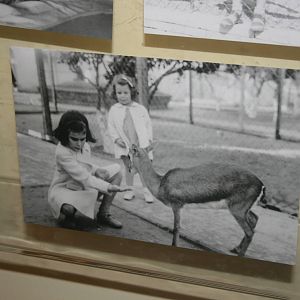 tel aviv zoo (closed) exhibition