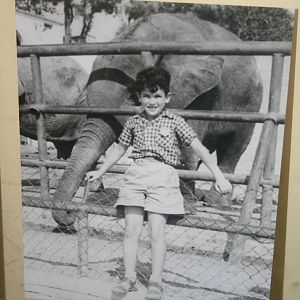 tel aviv zoo (closed) exhibition