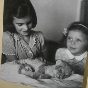 tel aviv zoo (closed) exhibition