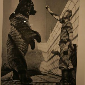 tel aviv zoo (closed) exhibition