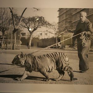 tel aviv zoo (closed) exhibition