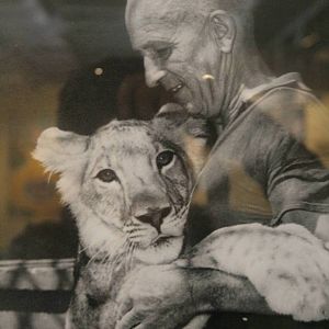 tel aviv zoo (closed) exhibition