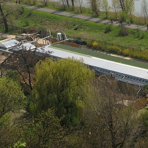 Waterfowl house reconstruction