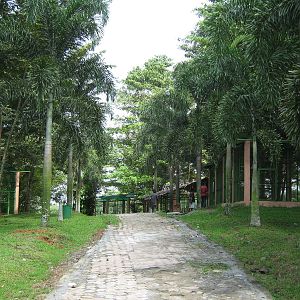 view towards aviaries