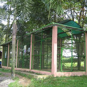 aviaries