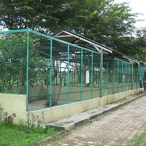 aviaries