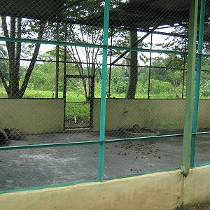 cage for Porcupines
