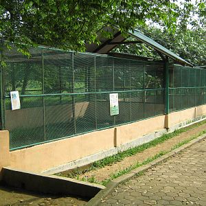 cages for reptiles (and civets)