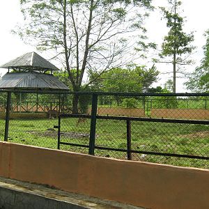 enclosure for chital (Axis axis)