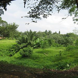 view into the interior of the zoo grounds