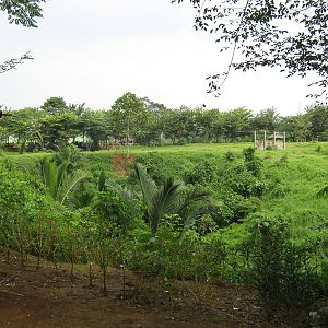 view into the zoo interior