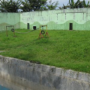 orang-utan enclosure