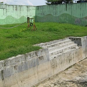 orang-utan enclosure