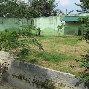 Sumatran tiger enclosure