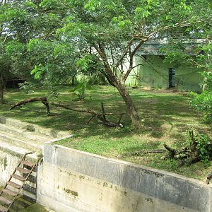 enclosure for tigers?