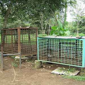 macaque cages