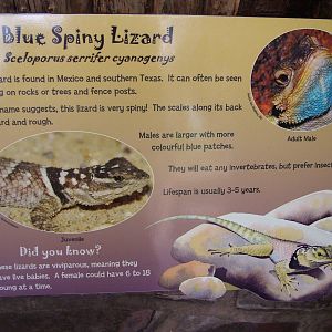 New Signage at Chester 25/04/10