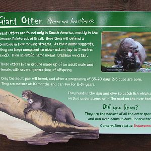 New Signage at Chester 25/04/10