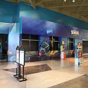 Arizona Sealife - Sneak Peak