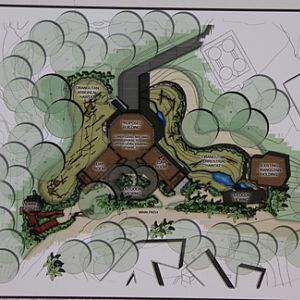 orangutan construction site