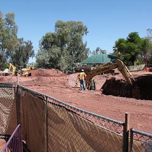 orangutan construction site