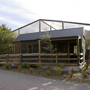 walk-through kea aviary