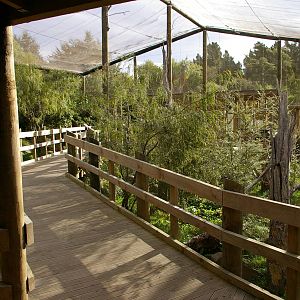 interior of walk-through kea aviary