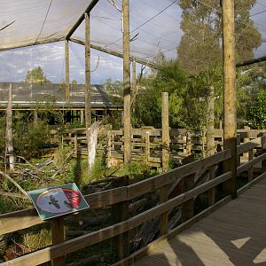 interior of walk-through kea aviary