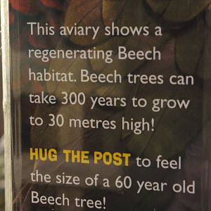 sign in the walk-through kea aviary