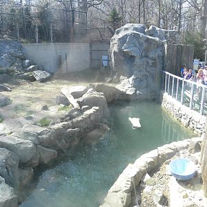 Polar Bear exhibit from the Tundra Buggy