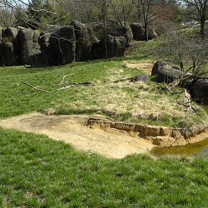 Kudu/Addra Gazelle/Stork exhibit