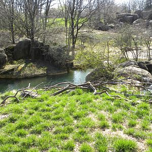 Kudu/Addra Gazelle/Stork exhibit and Rhino/Zebra/Ostrich exhibit