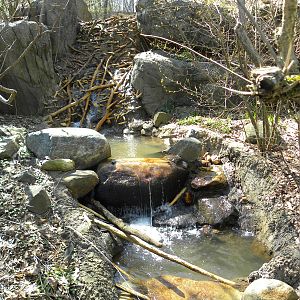 Great river otter exhibit