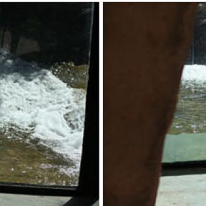 waiting for a refill