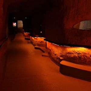 Life Underground exhibit