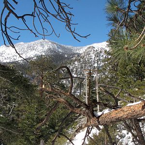 Mountain Scenery High Above Palm Springs, California