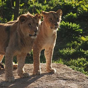 Two of the last years offspring