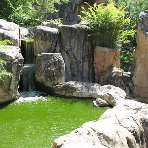 Asian Falls - Malayan Sun Bear Exhibit