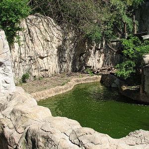 Asian Falls - Malayan Sun Bear Exhibit