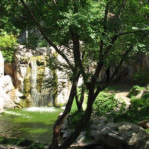 Asian Falls - Malayan Tiger Exhibit