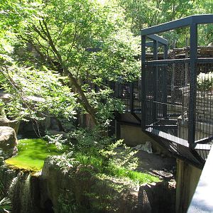 Asian Falls - White Tiger Exhibit