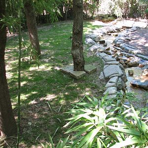 Asian Falls - Reeves Muntjac Exhibit
