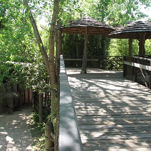 Asian Falls - Indian Rhinoceros Exhibit Viewing Area