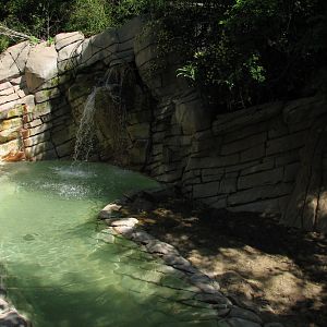 Asian Falls - Indian Rhinoceros Exhibit