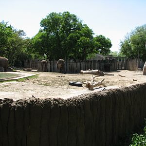 Asian Falls - Asian Elephant Exhibit