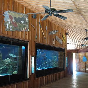Australian Outback - Great Barrier Reef Aquariums
