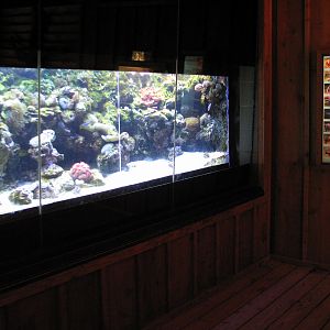 Australian Outback - Great Barrier Reef Aquarium