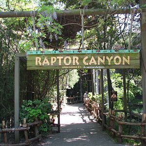 Raptor Canyon - Entrance