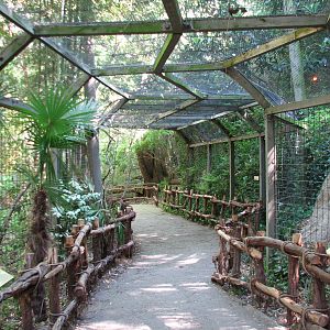 Raptor Canyon - Path